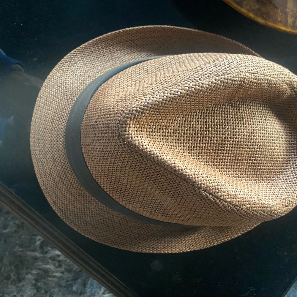 Stylish Brown Fedora Hat